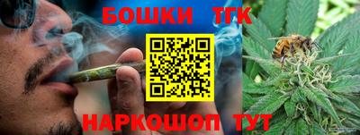 дурь Кингисепп