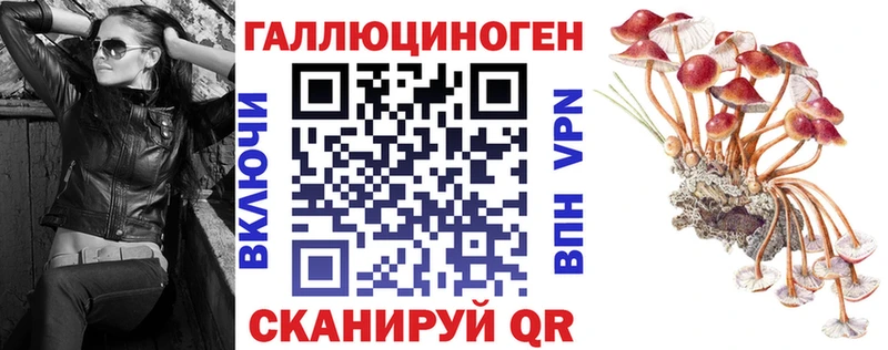 Галлюциногенные грибы мицелий  OMG онион  Кемерово 