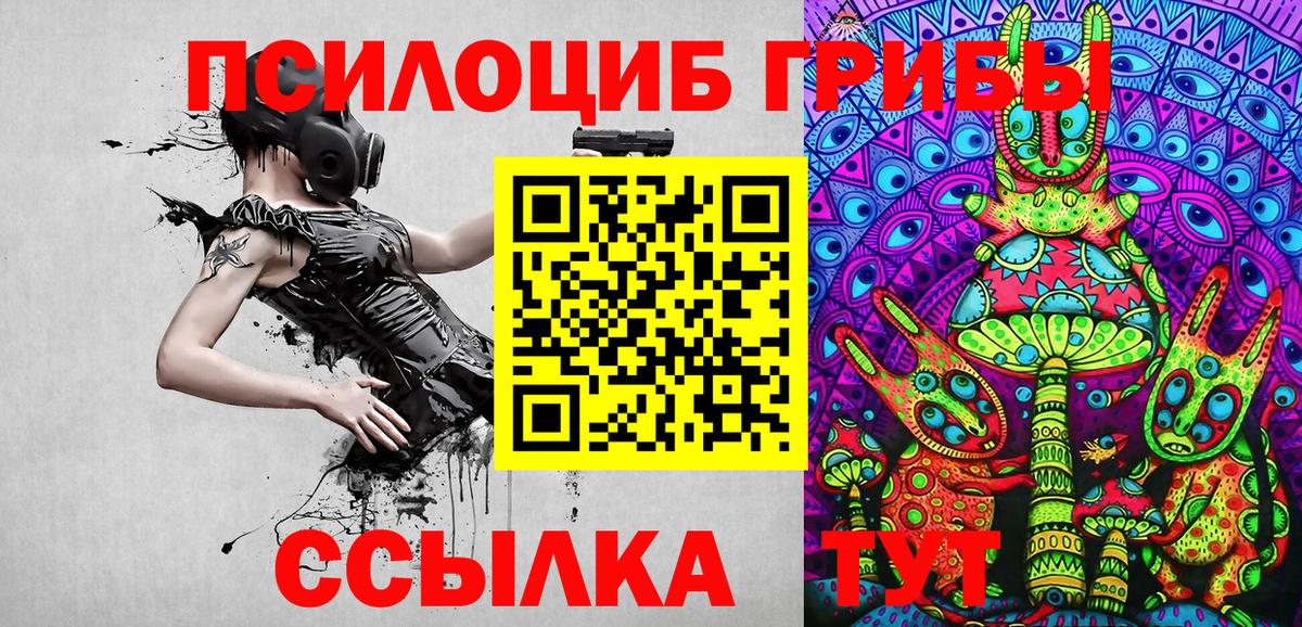 Псилоцибиновые грибы Cubensis  Вход с VPN  Кемерово 